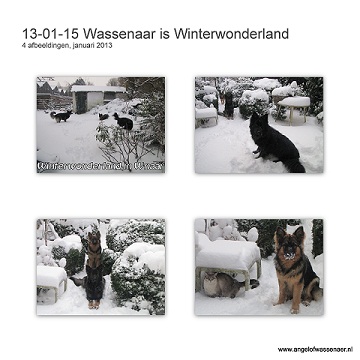 Wassenaar is een Winter Wonder Land geworden